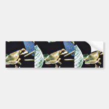 Frog Bumper Sticker