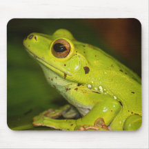 Frog Mousepad