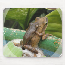 Frog On Back Mouse Pad