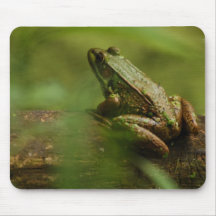 Frog on Log Mouse Pad