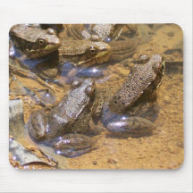 frog pad mouse pads