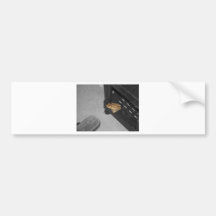 Frog Prince Bumper Sticker