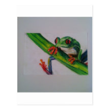 Frog Red Eye Post Card