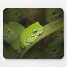 Frog Reflections Mouse Pad