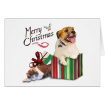 From Eddie & Agnes cards