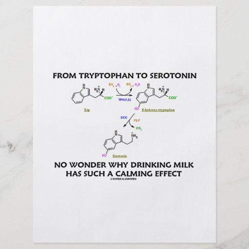 From Tryptophan To Serotonin (Chemistry Humour) Custom Flyer