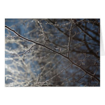 Frost on branches card