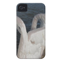 Frozen in Time iPhone 4 Case-Mate Cases