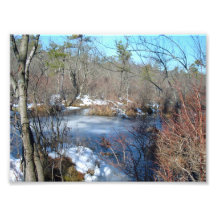 Frozen Wetlands Pond Photo Art