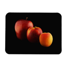 Fruits Lineup Rectangle Magnets