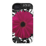 Fuchsia Gerbera Daisy with Black and White Swirl Case-Mate iPhone 4 Cases