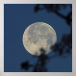 Full Moon Rising Print