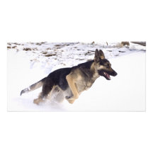 Fun in the snow custom photo card