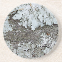 Fungi Coasters coasters