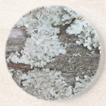 Fungi Coasters coasters