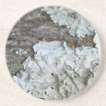 Fungi Coasters coasters
