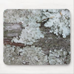 Fungi Mousepad