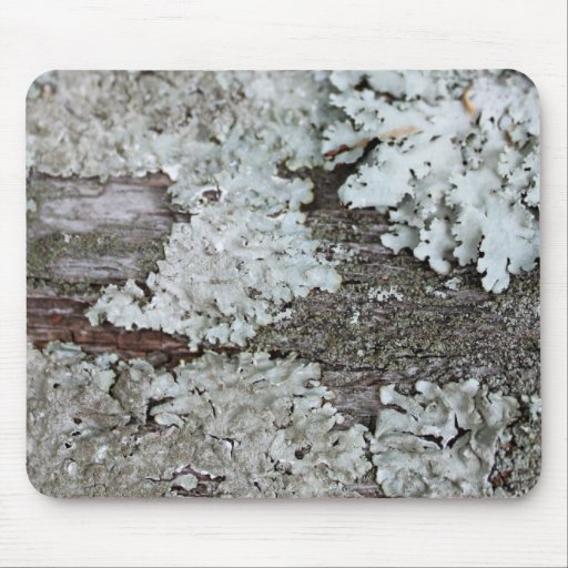 Fungi Mousepad
