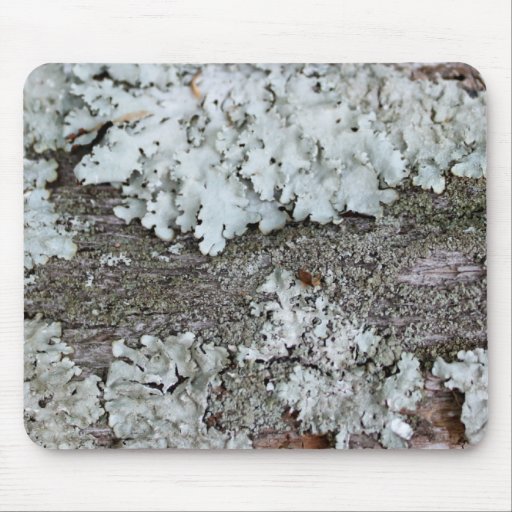 Fungi Mousepad