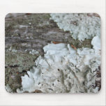 Fungi Mousepad