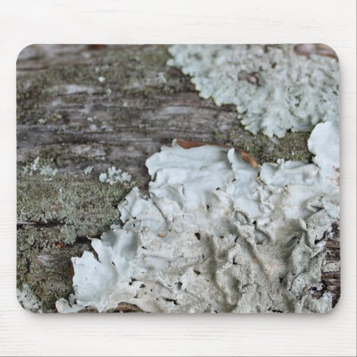 Fungi Mousepad