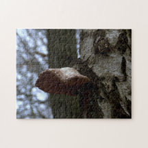 Fungus on a birch jigsaw puzzle