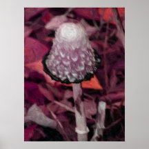 Fungus Posters