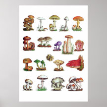 fungus posters
