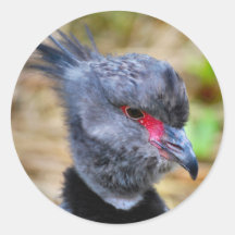 Funky Bird Stickers