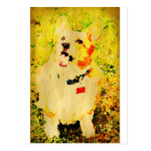 Funky Chuck Postcards