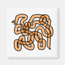 Funky Orange Snake Design. Magnets