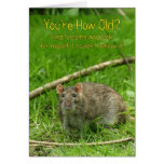 Funny Birthday Card - Wild Brown Rat