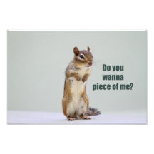 Funny Chipmunk Picture Art Photo