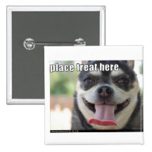 funny-dog-pictures-treat-here buttons