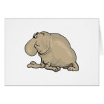 funny elephant seal greeting cards