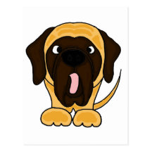 Funny English Mastiff Original Art Post Cards