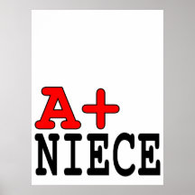 Funny Gifts for Nieces : A+ Niece Poster