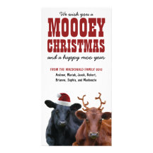 Funny Holiday Cow Couple Mooey Christmas Customised Photo Card