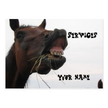 Funny Horse Hay Business Card