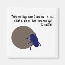 Funny insect magnet