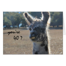 Funny Llama Birthday, 40th, Over the Hill Card