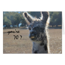 Funny Llama Birthday, 70th, Over the Hill Greeting Card