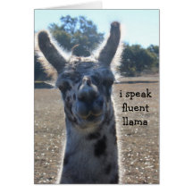 Funny Llama Birthday Card, I speak fluent llama...
