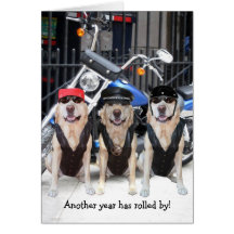 Funny Male Biker Lab Cards