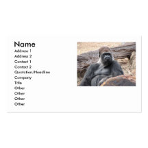 funny pics card business card templates