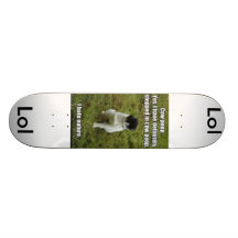 funny-pictures-cat-hates-nature1, Lol, Lol Skate Board