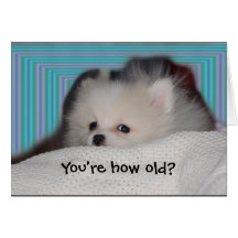 Funny Puppy Birthday Card