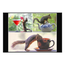 Funny Squirrel Picture Collage Photograph