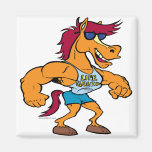 funny stud stallion horse cartoon fridge magnets
