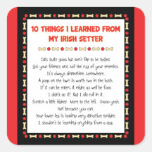 Funny Things I Learned From My Irish Setter Square Stickers